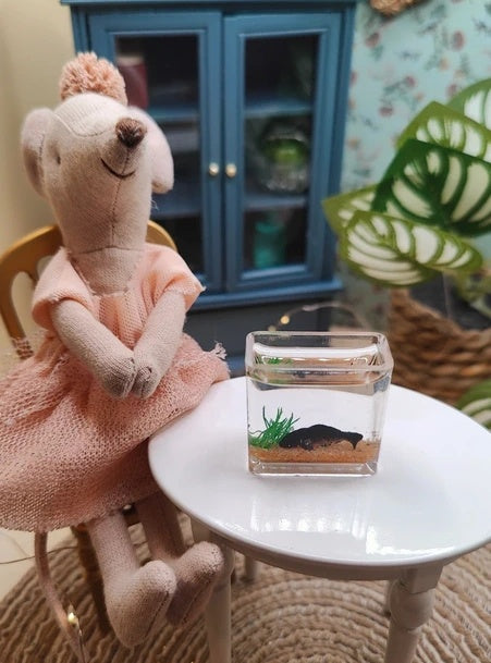 Aquarium
