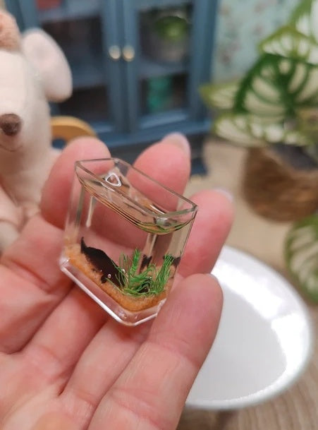 Aquarium