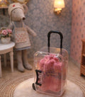 Valise transparente