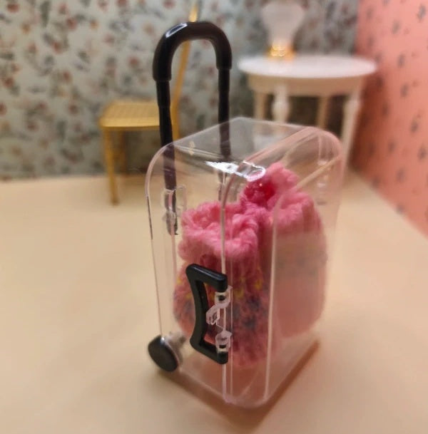 Valise transparente