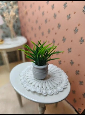 Petite plante