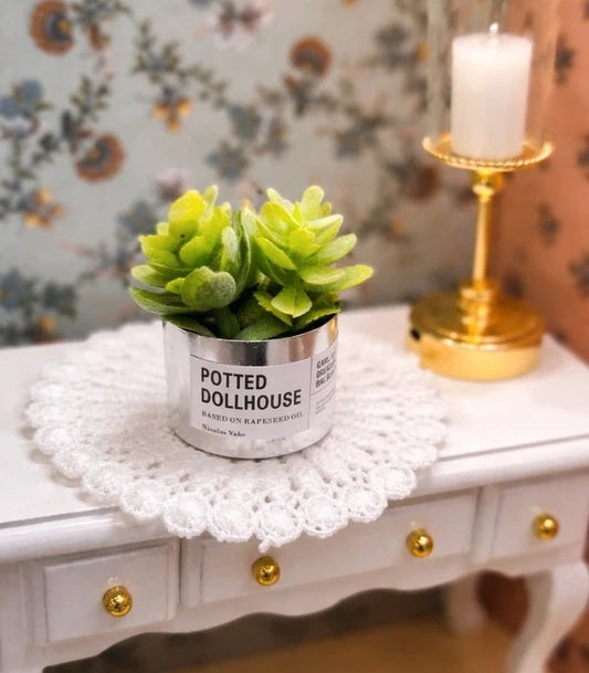 Petite plante grasse pot argenté