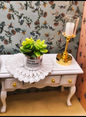 Petite plante grasse pot argenté