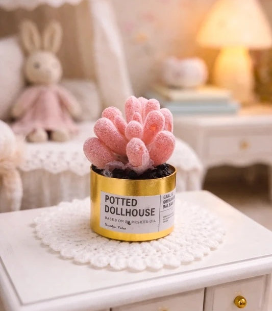 Petite plante grasse rose pot doré