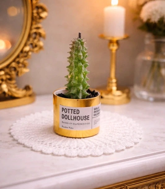 Cactus