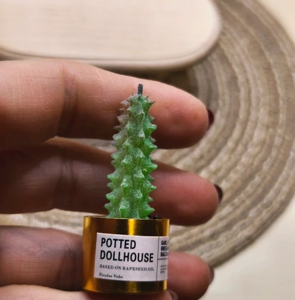 Cactus