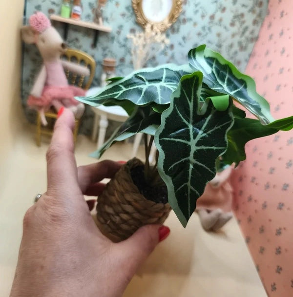 Plante