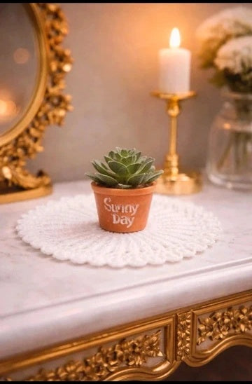 Petite plante grasse