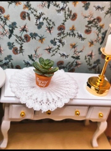 Petite plante grasse