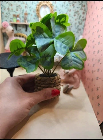 Grande plante trèfle