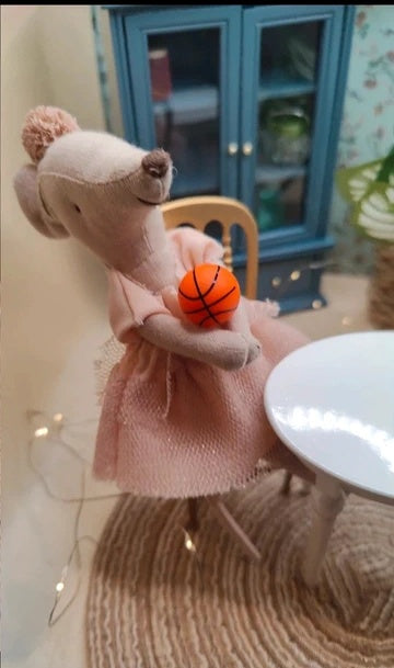 Ballon de basket