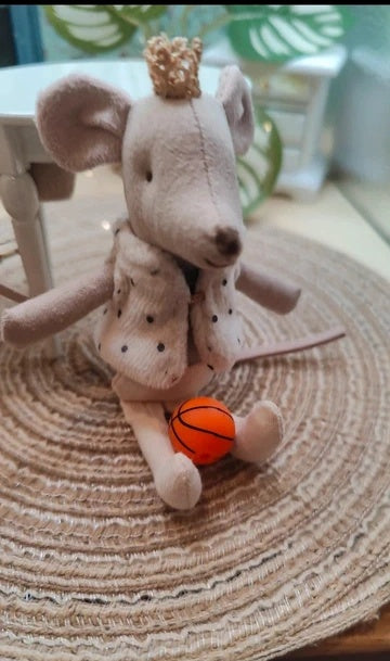 Ballon de basket