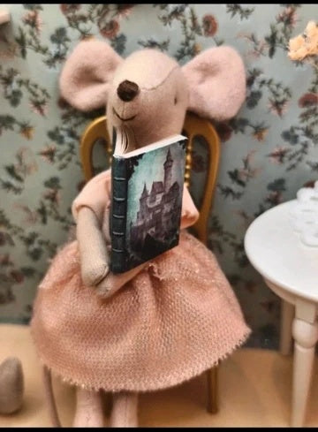 Livre de princesse