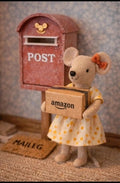 Carton amazon