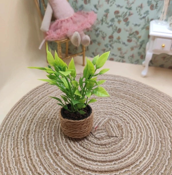 Petite plante