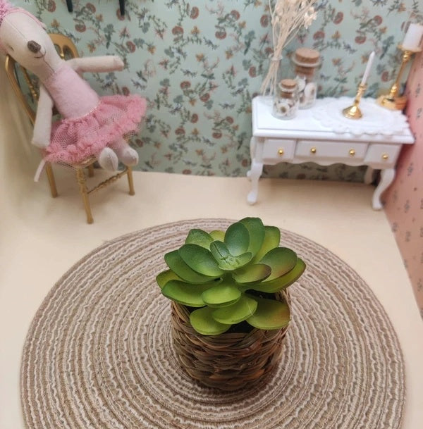 Petite plante grasse