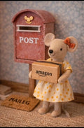 Colis Amazon