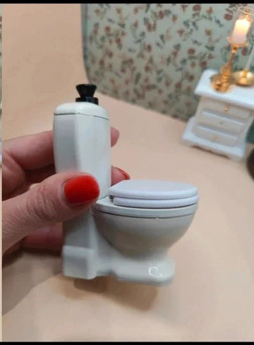 Toilettes métalliques
