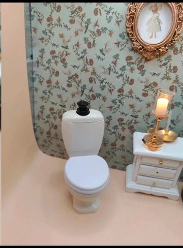 Toilettes métalliques