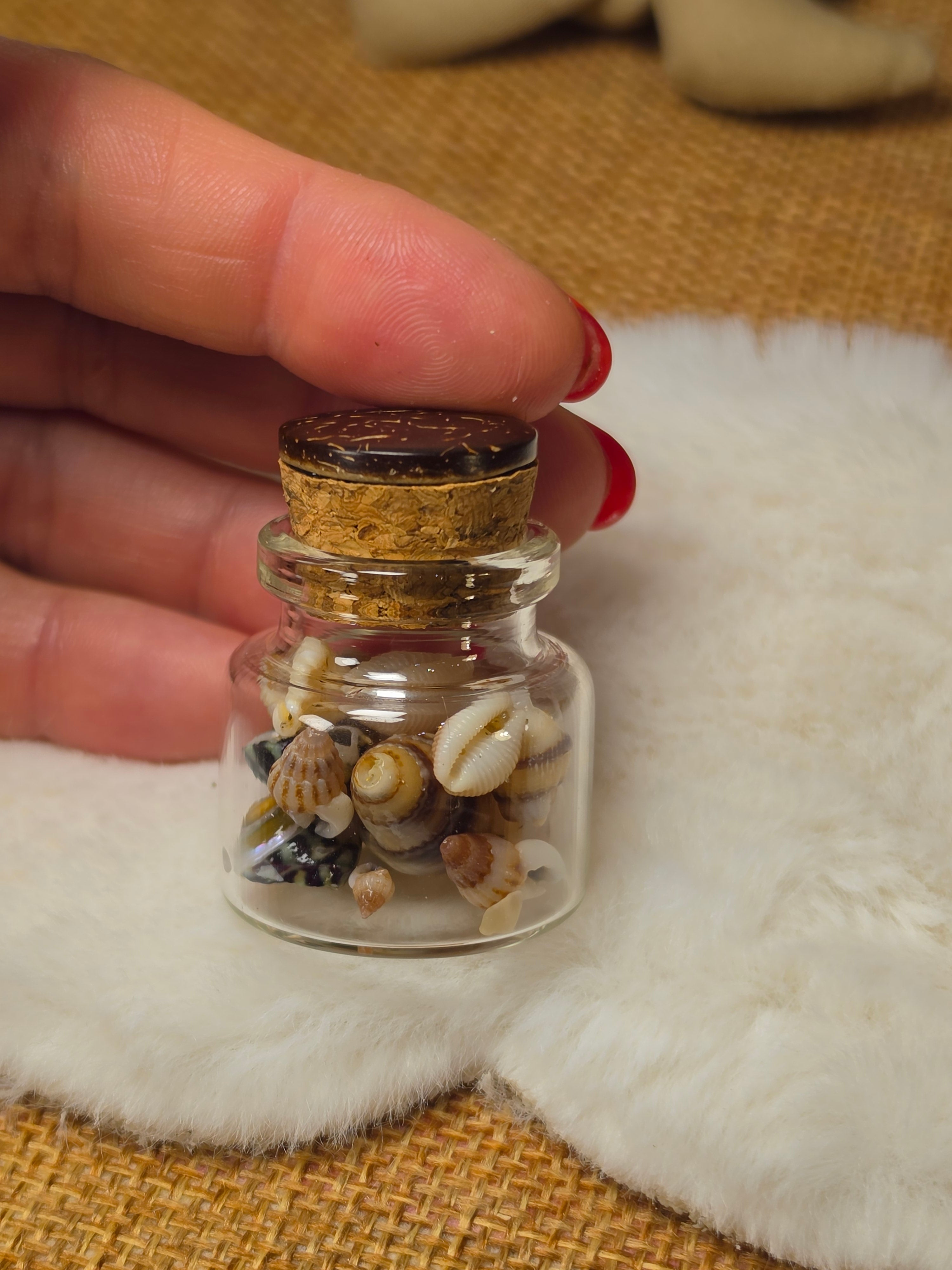 Bouchon en liège du bocal miniature de coquillages