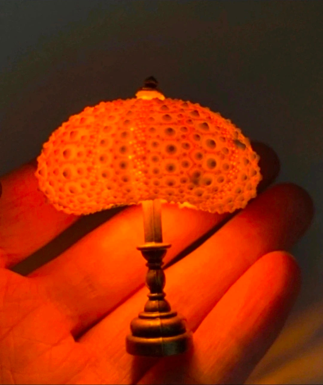 Lampe oursin miniature allumée, lumière à travers les perforations