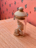 Bocal de coquillages