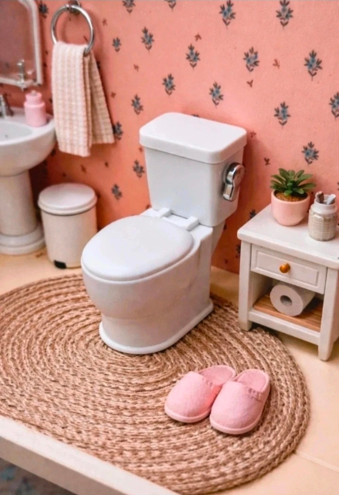Toilettes flush