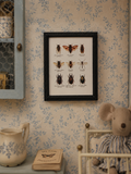 Tableau/ Cadre insectes pour maison de poupée échelle 1/12eme