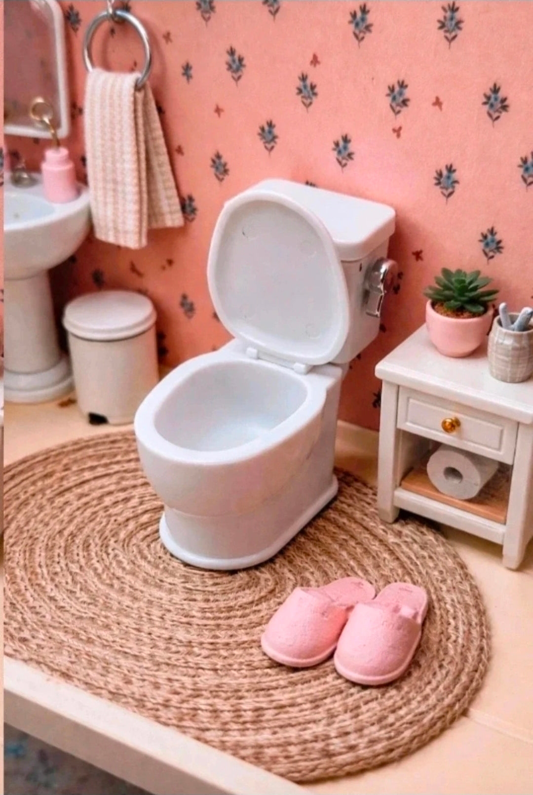 Toilettes flush