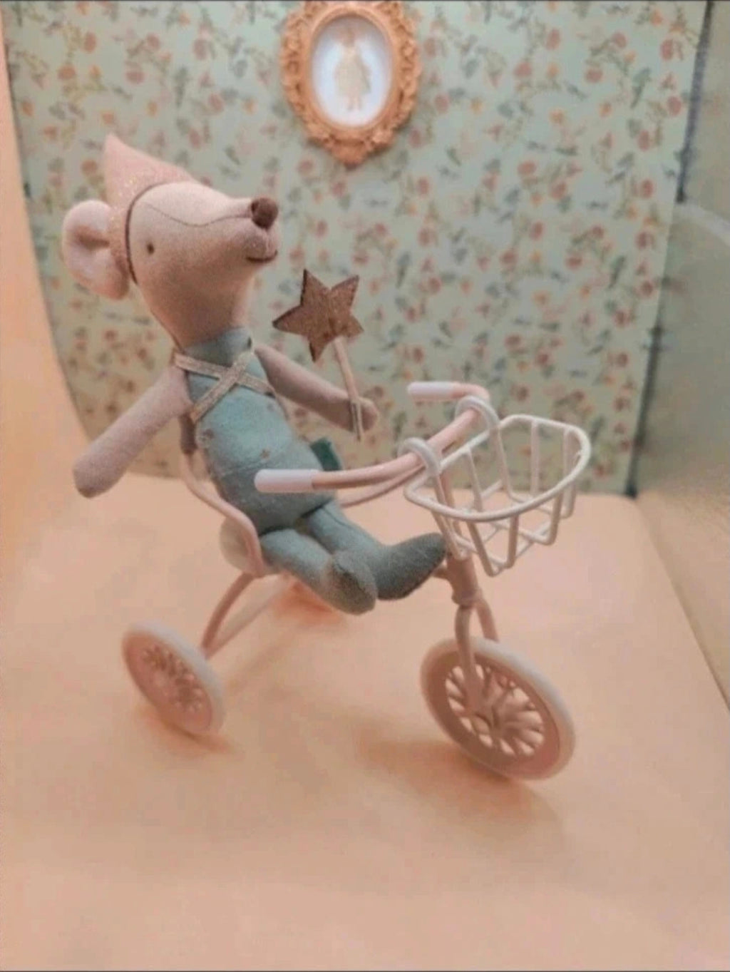 Tricyle/vélo miniature