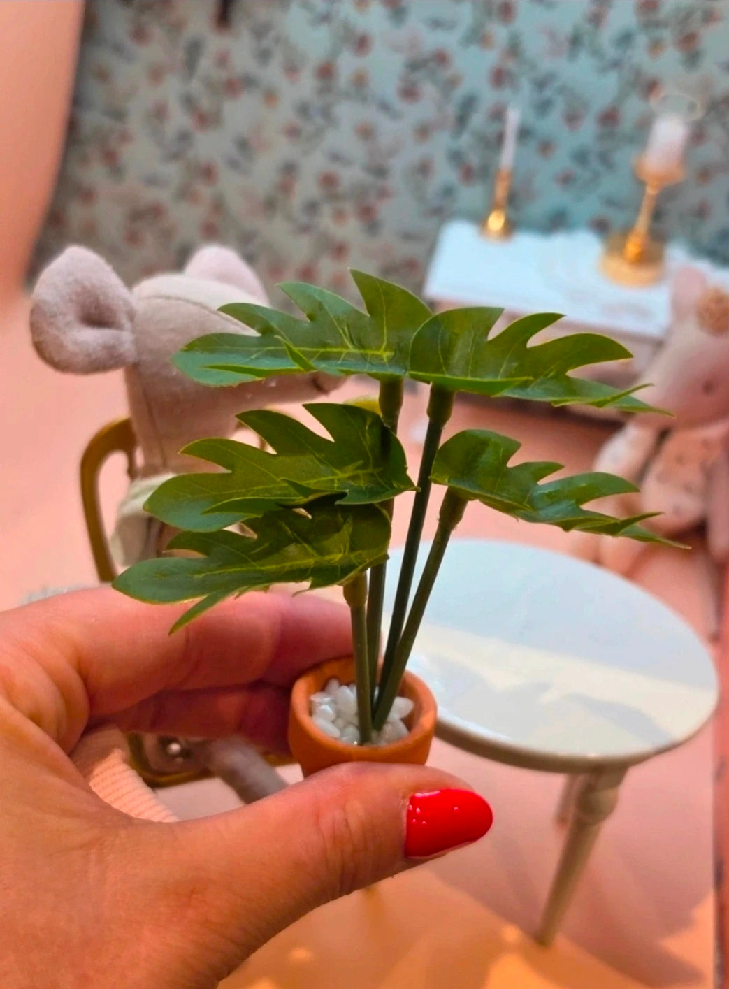 Petite plante en pot