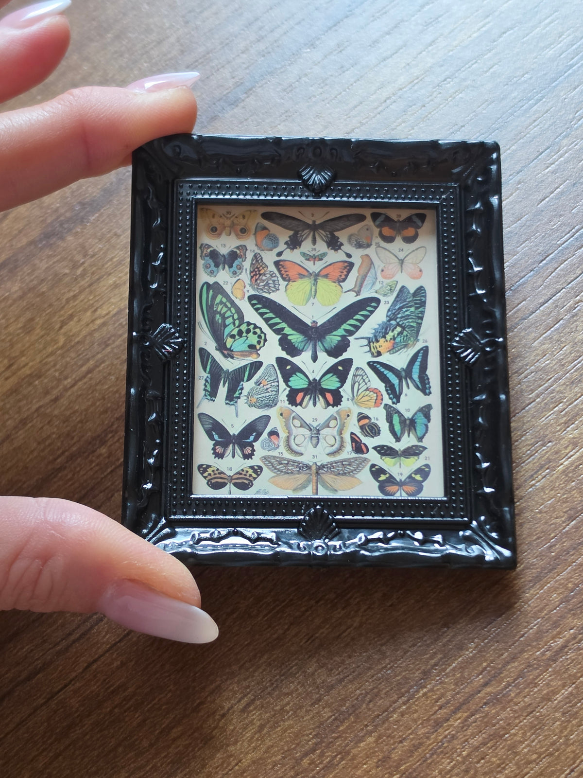 Grand Tableau/Cadre Papillon pour maison de poupée échelle 1/12eme