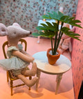 Petite plante en pot
