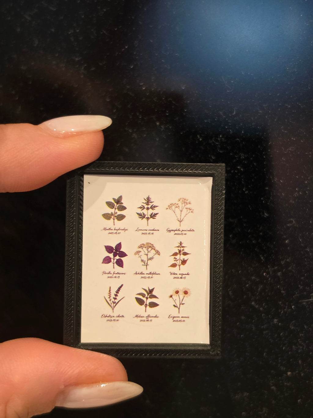 Tableau/ Cadre plantes pour maison de poupée échelle 1/12eme