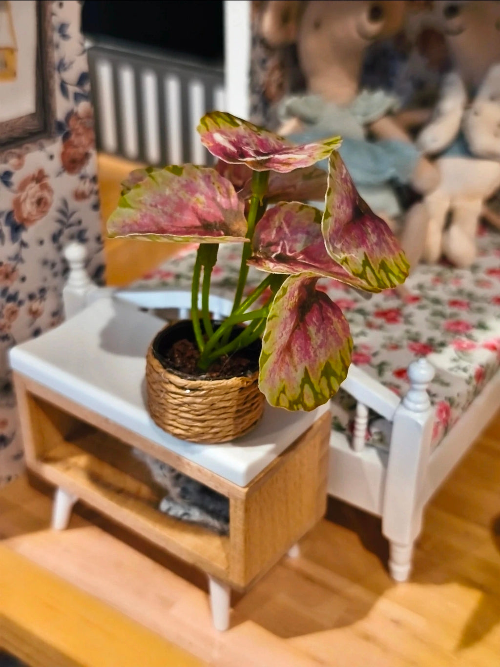 Petite plante verte et bordeaux