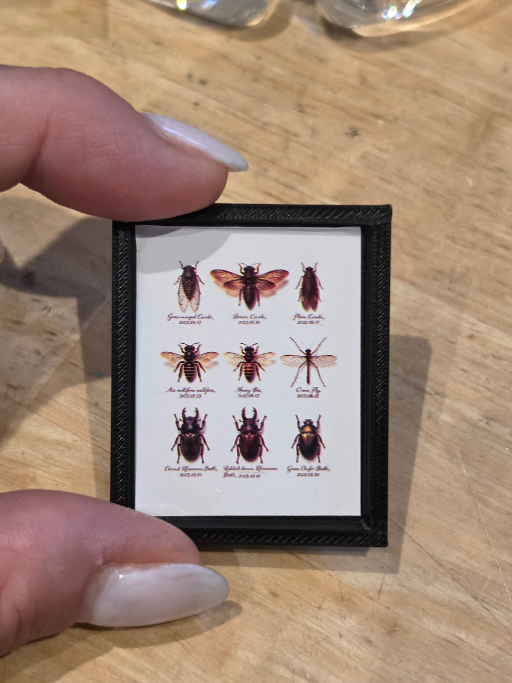 Tableau/ Cadre insectes pour maison de poupée échelle 1/12eme