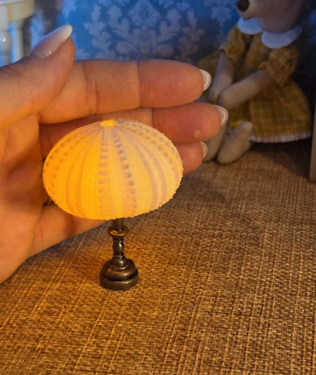 Lampe en véritable oursin